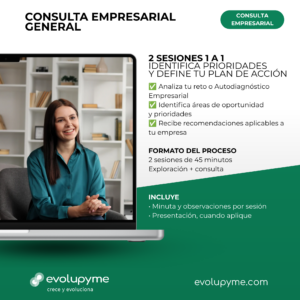 Consulta Empresarial General