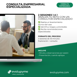 Consulta Empresarial Especializada