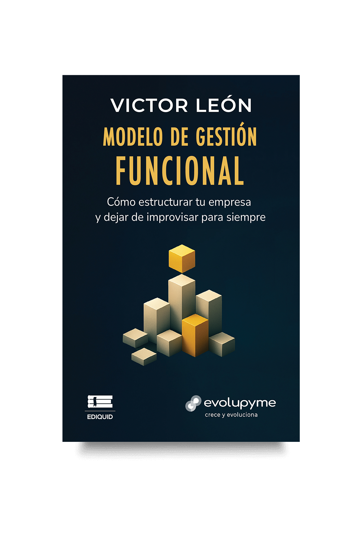 Libro Modelo de Gestión Funcional de Victor León